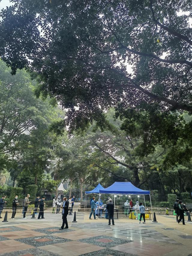 重庆市疫情公告与广州最新消息，双城防疫动态深度解析