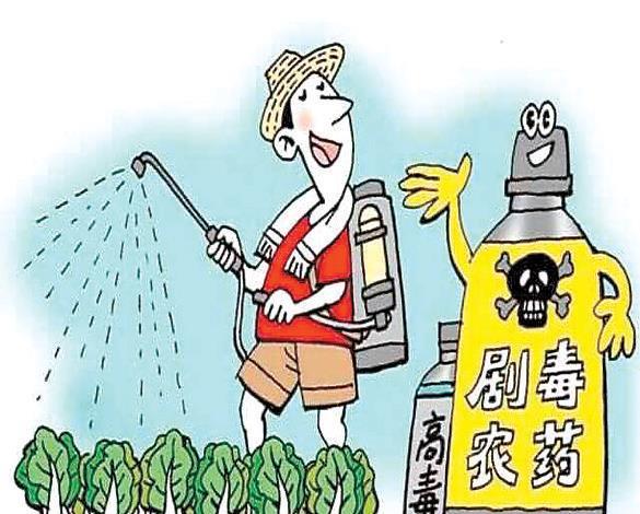 重庆餐饮业疫情防控，守护舌尖上的安全与健康