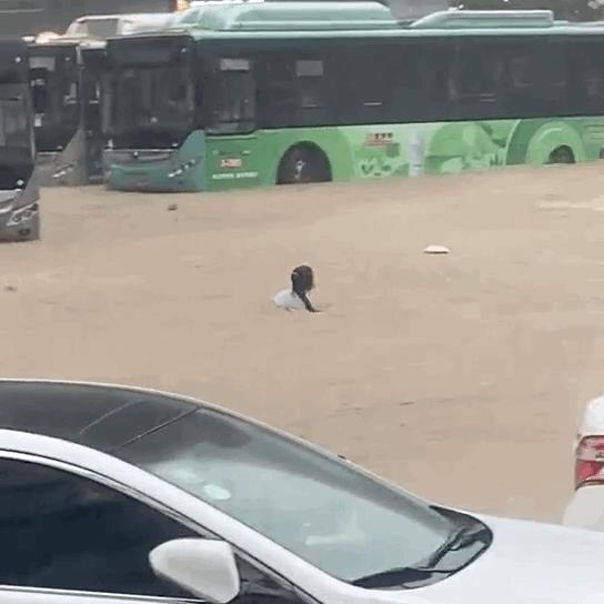 郑州疫情关门，城市停摆下的生活百态与反思