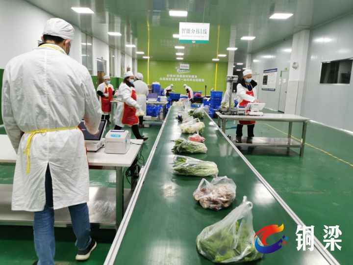 郑州防疫物资供应充足，市民生活无忧，政府保障有力
