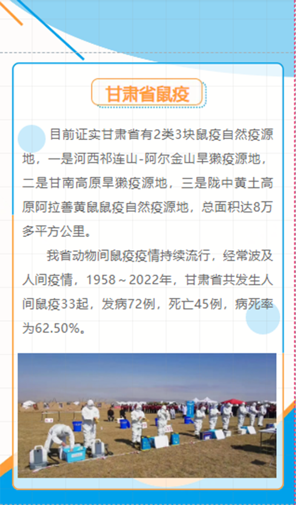 2023年浙江省疫情政策与青海省最新防控措施全面解析
