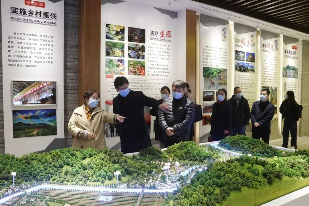 浙江省最新疫情防控通知，全面优化措施，科学精准应对