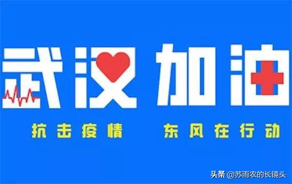 长春疫情最新情况，2024年是否再次封城？官方回应来了！
