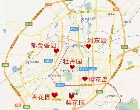 长春市新城大街封路最新消息，施工进展、绕行路线及预计恢复时间