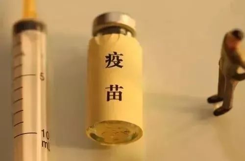 长春生物疫苗全面解析，安全性、有效性及接种指南