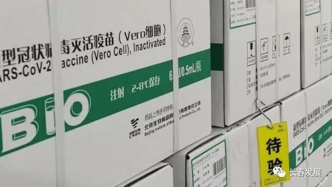 长春生物疫苗的正式名称是什么？揭秘其背后的研发故事