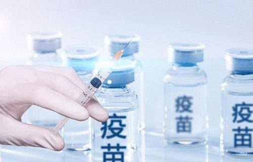 长春生物疫苗是哪家公司的？详细解析长春生物的背景与产品