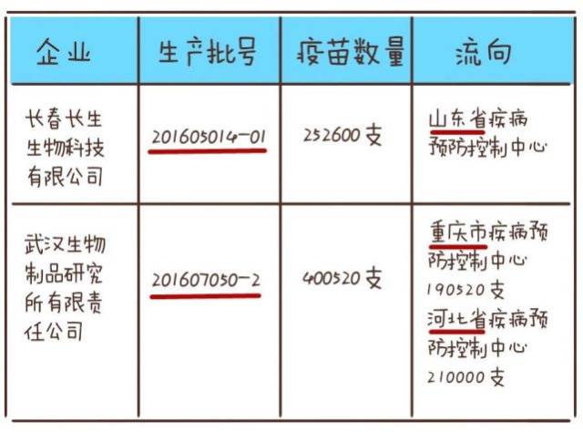 长春生物疫苗的有效率是多少？全面解析其保护效果与安全性