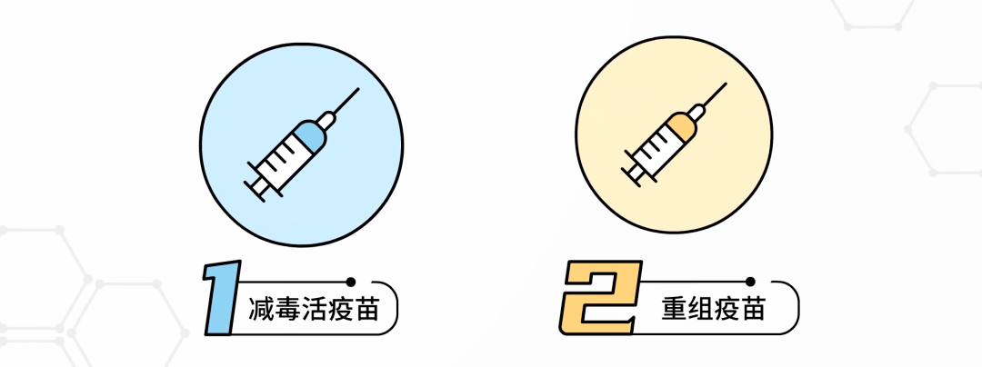长春生物生产的疫苗叫什么名字？全面解析长春生物疫苗
