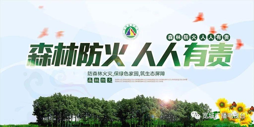 长春宽城区疫情电话指南，最新联系方式与防疫须知