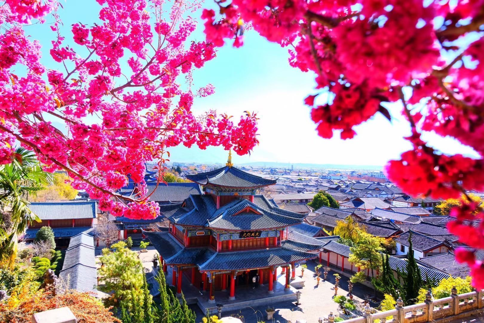 云南省恢复跨省旅游，重启彩云之南的美丽之旅