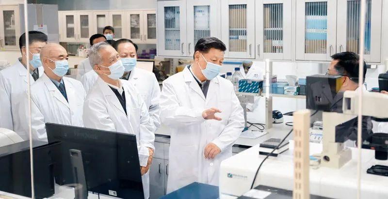 合肥疫情最新动态，防控措施、疫苗接种与市民生活指南