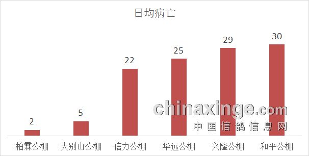 太原封城时间及甘肃省疫情最新数据解析