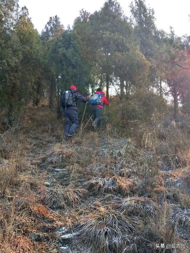 疫情下四川人的深山避难记，逃离城市，回归自然的生存实验