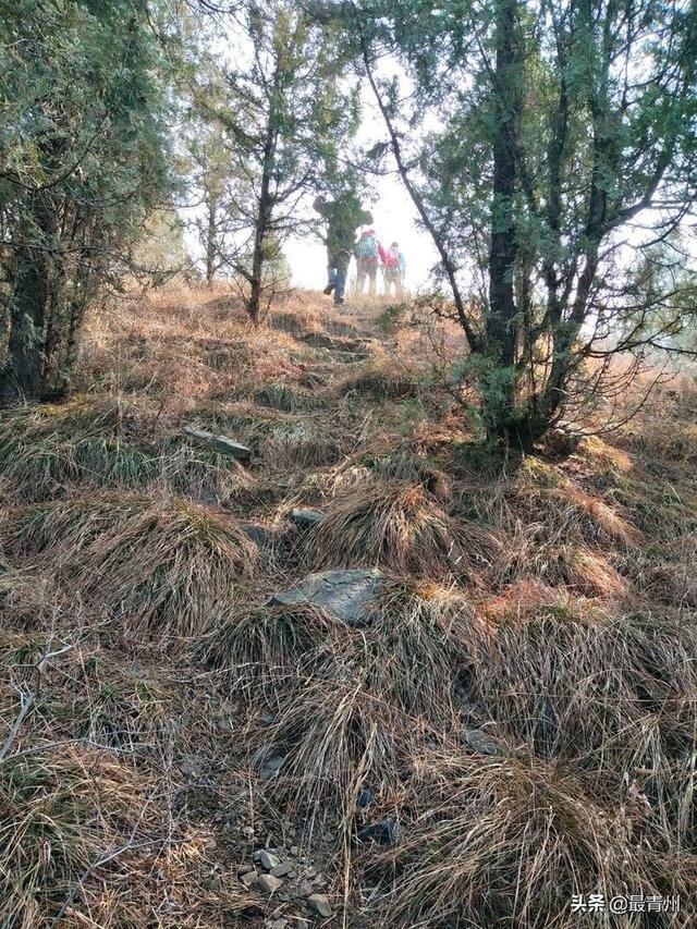 疫情下四川人的深山避难记，逃离城市，回归自然的生存实验