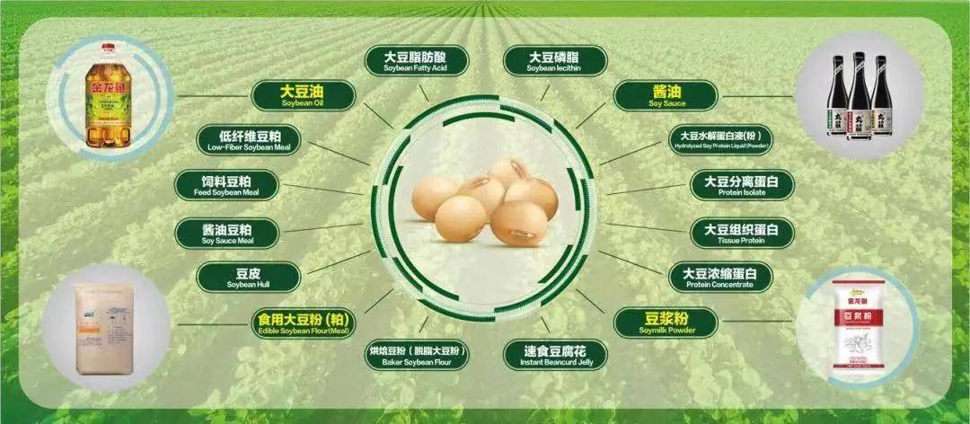 石家庄解封后，合肥距离全面解封还有多久？深度解析两地防疫政策差异