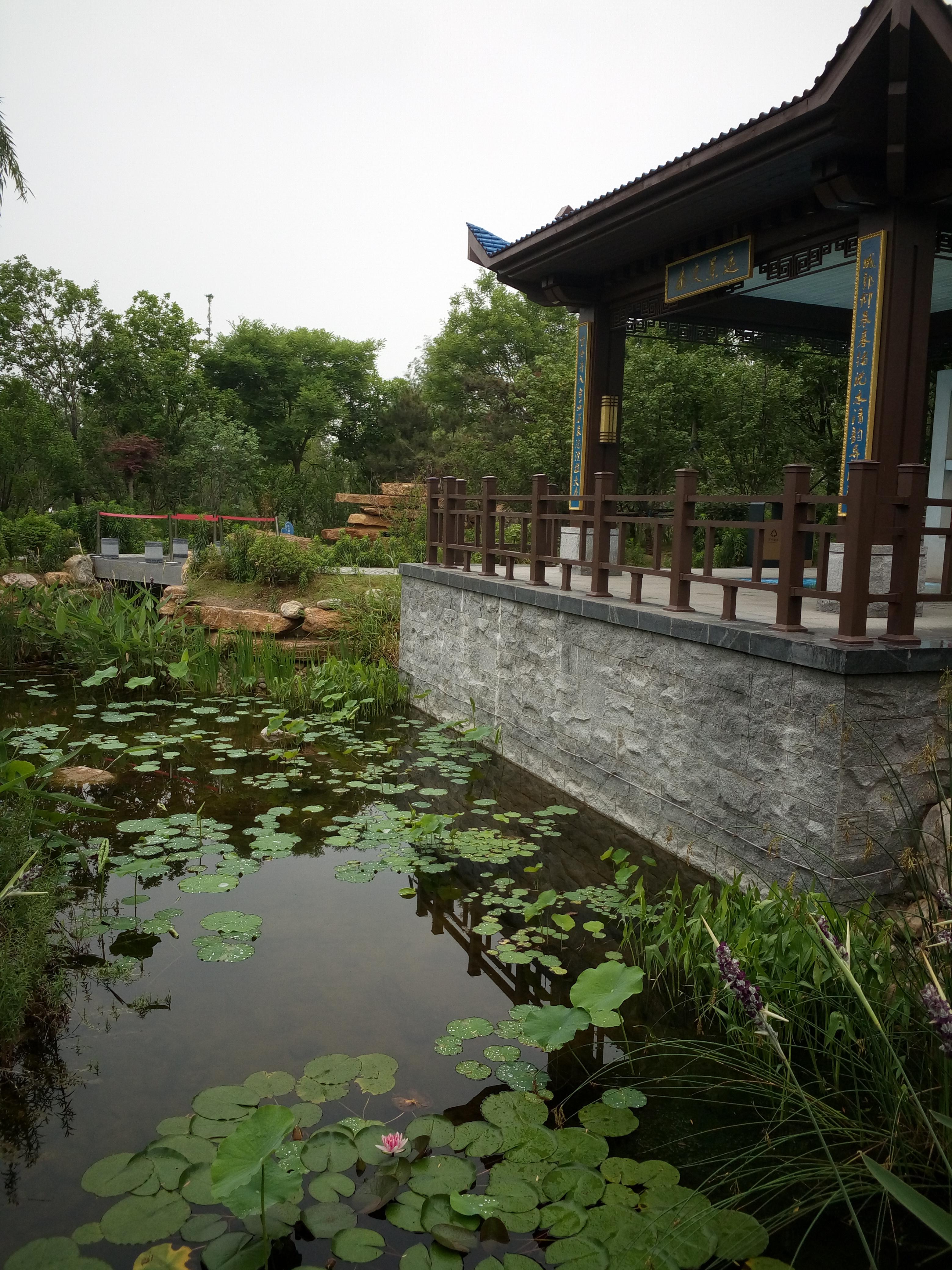 疫情下的沈阳商场现状，郑州商场是否已恢复营业？