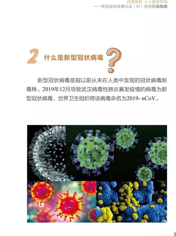 浙江省与重庆市最新疫情动态，防控措施与市民应对指南
