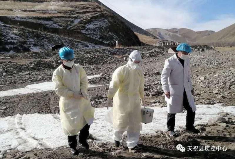 南昌封城日期与重庆防疫措施对比，疫情下的城市管控差异