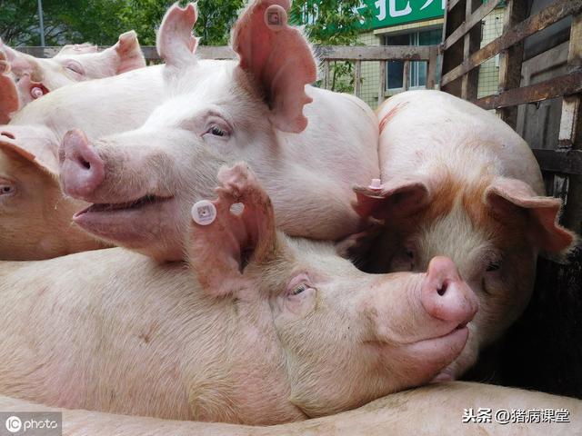 江西与青海最新疫情动态，防控措施与区域应对策略分析