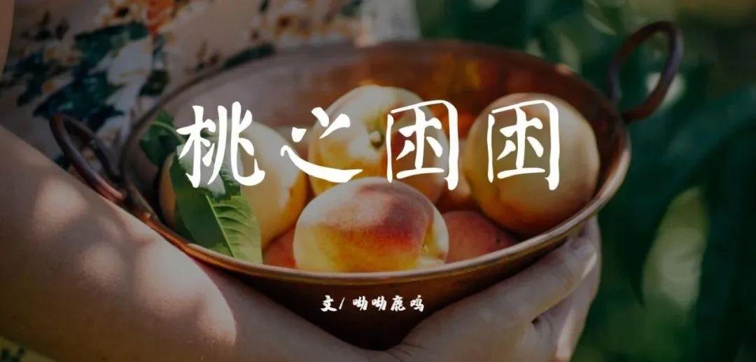江苏省疫情期间护士补贴政策详解，申请条件、标准及流程