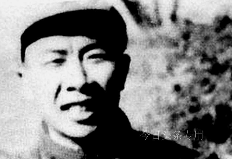 疫情湖北省书记最新动态，职务调整与后续去向揭秘