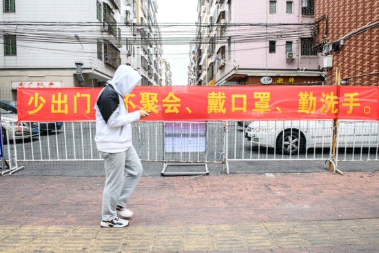疫情黑龙江省最新消息与天津天气，双城动态全掌握