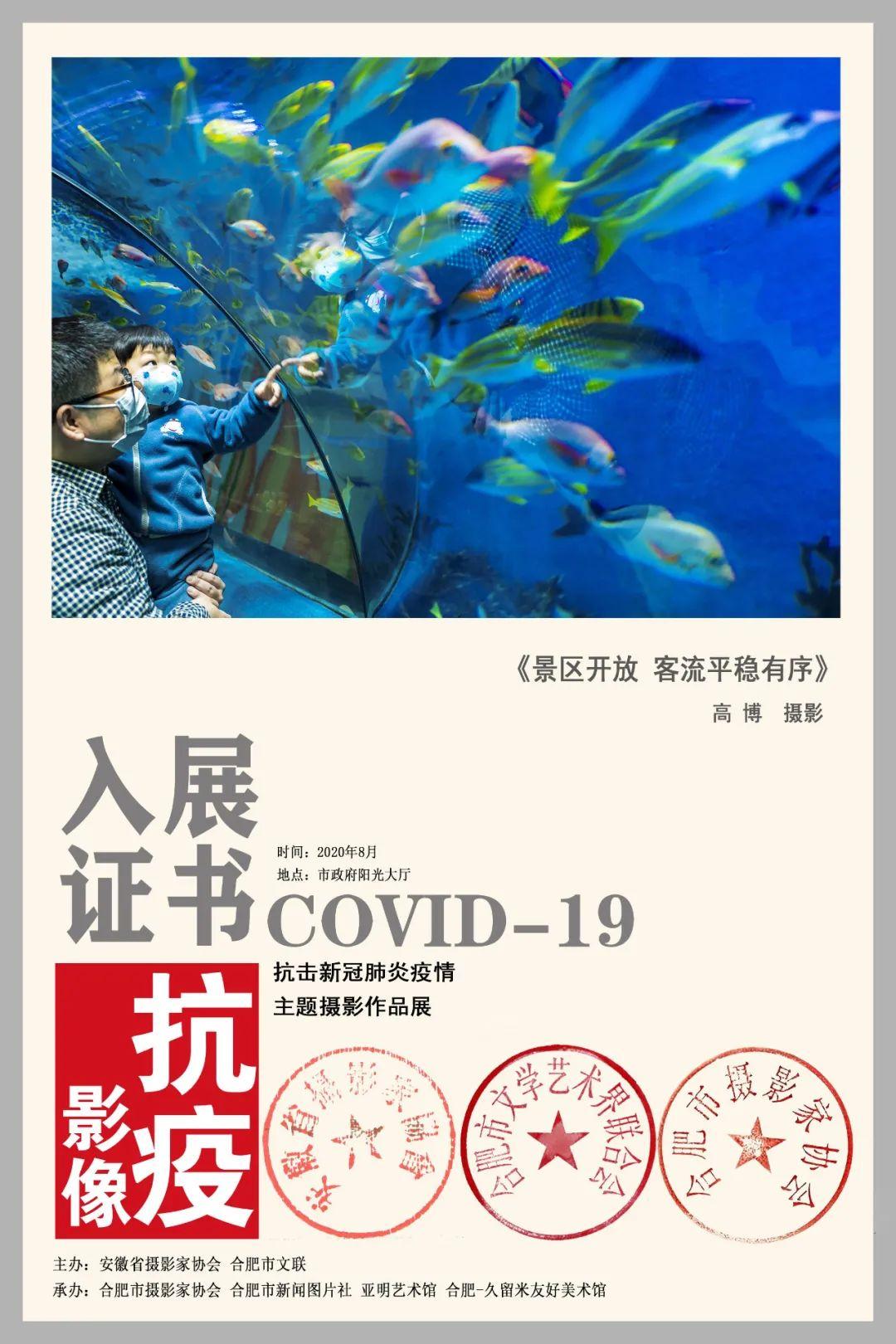 合肥政府抗疫举措获全民点赞，南昌市民，值得借鉴！