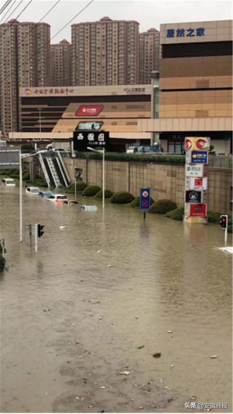 合肥政府抗疫举措获澳门网友点赞，暖心视频传递两地深情