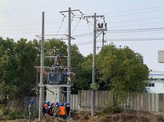 疫情下的合肥与上海，死亡人数对比与城市防疫措施分析