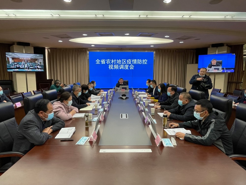合肥疫情最新动态与四川省防控措施对比分析