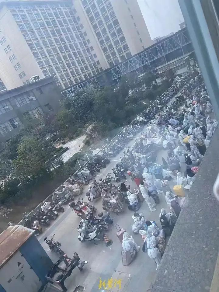 疫情最新动态，合肥封城了吗？郑州封城了吗？权威解读来了！