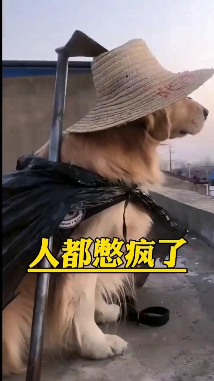 疫情最新动态，合肥封城了吗？长春有疫情吗？