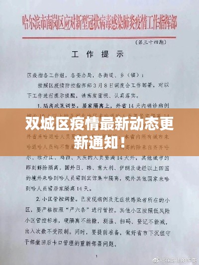 杭州疫情最新动态与银川防疫政策调整，双城防疫指南