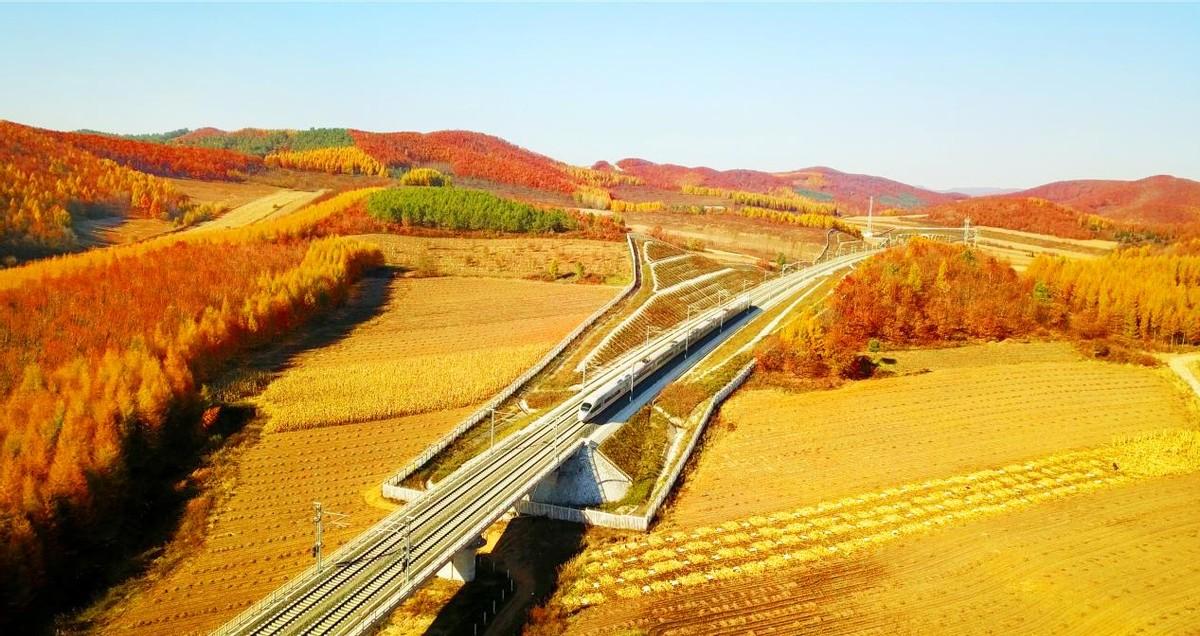 疫情下哈尔滨交通全面停运？青海省最新防控措施解析