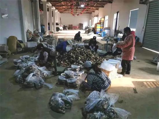 疫情福州封城期间，杭州居民能否出城？最新政策解读