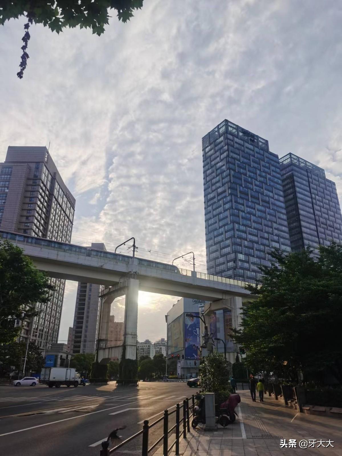 上海疫情防控政策的创新与实践，精准防控与城市韧性