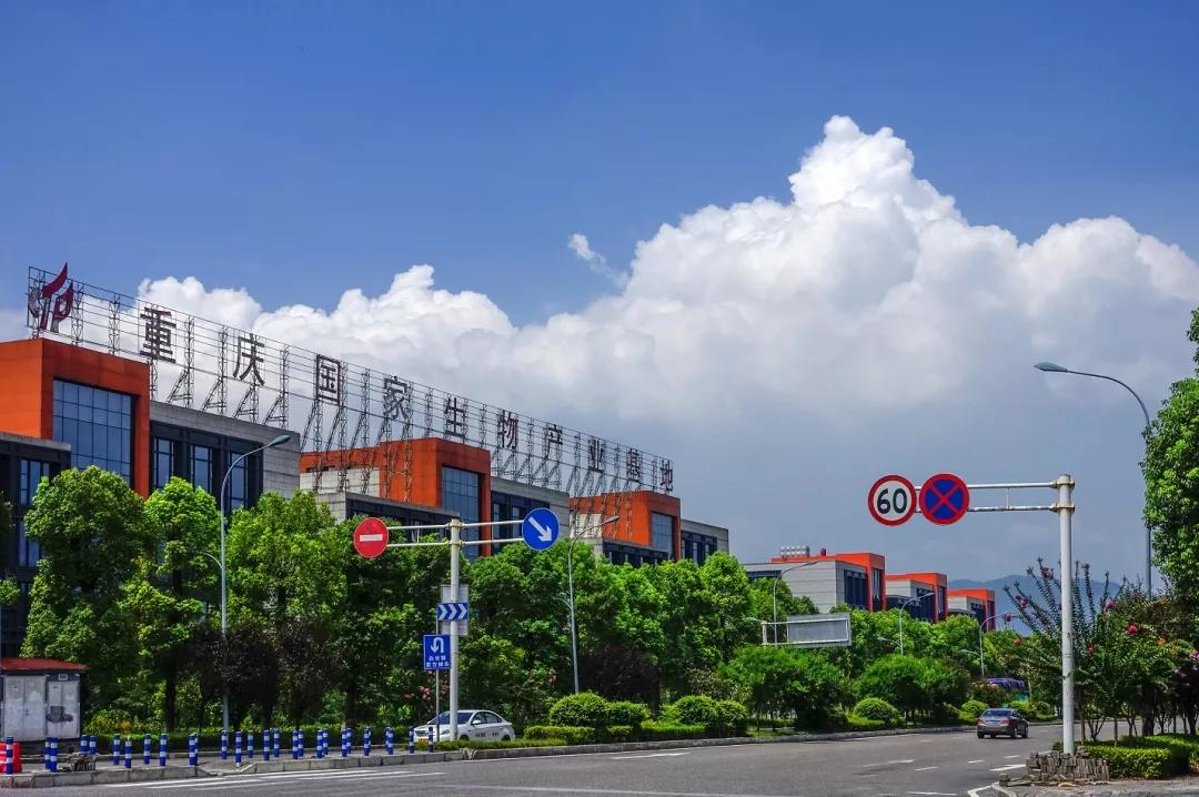 重庆疫情最新动态，哪些区域最安全？哪些区域最严重？