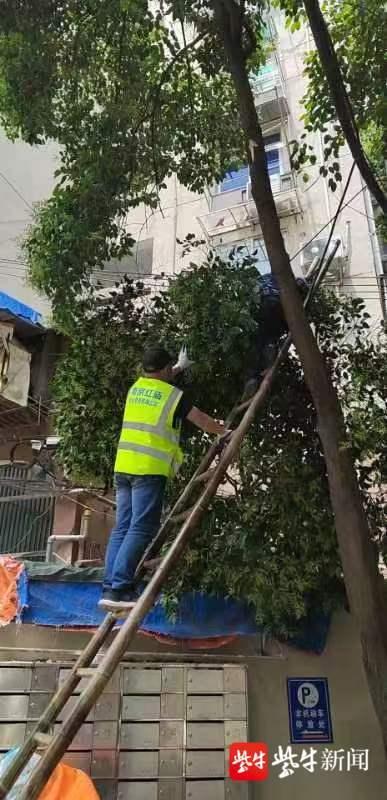疫情下南京物业费调整引热议，郑州业主能否借鉴经验？