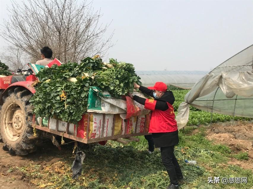 江苏省支援郑州抗疫，携手共克时艰的温暖行动
