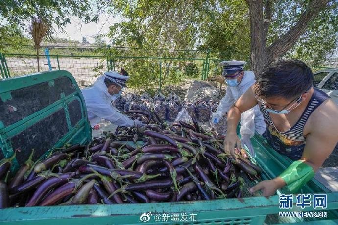 乌鲁木齐市疫情防控指挥部官网，权威信息发布与便民服务指南