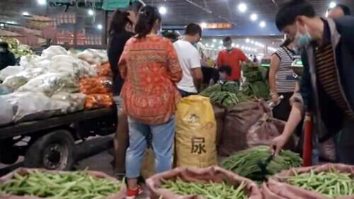 乌鲁木齐防治疫情办公室，守护城市健康的坚强堡垒