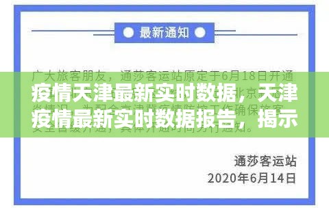 天津疫情实时查询指南，最新数据、防控政策与实用工具