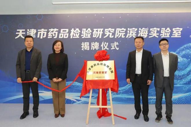 天津市市场监管委各处室职能解析与工作亮点