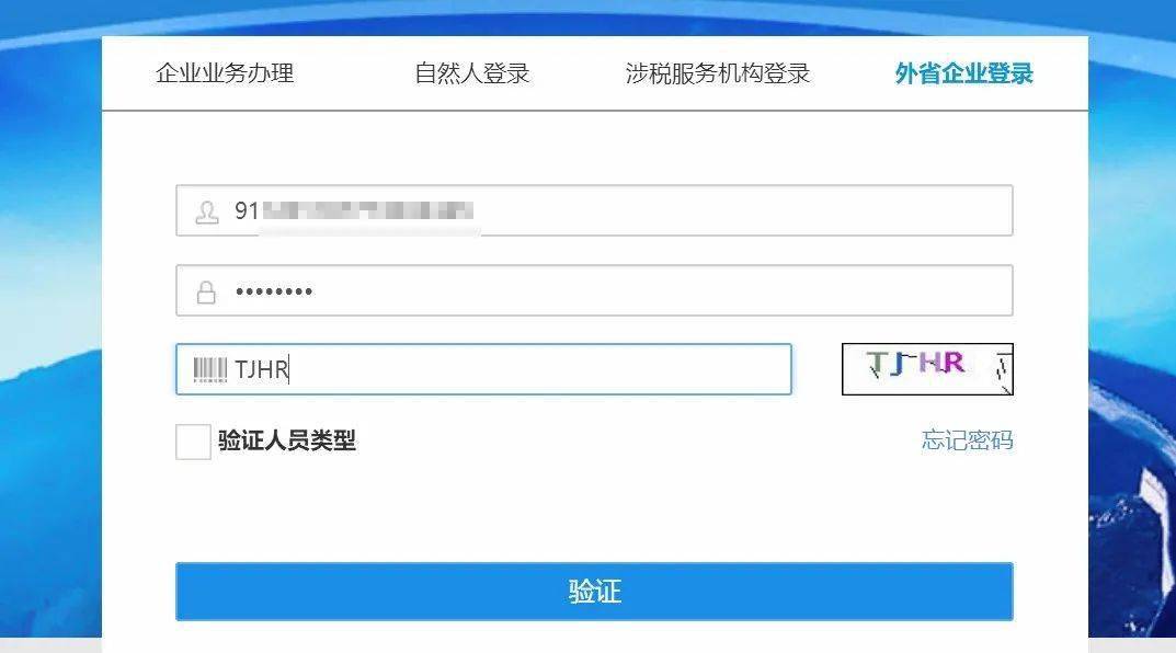 天津市场监督管理委员会申报平台使用指南，企业便捷办事新选择