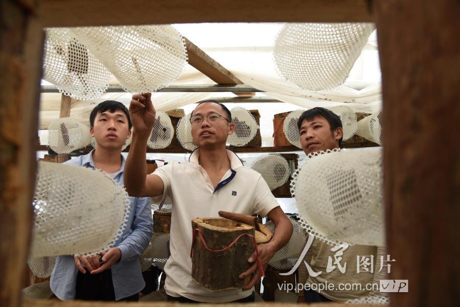 天津市场监督管理局办公时间全指南，市民必知的办事窗口时间安排