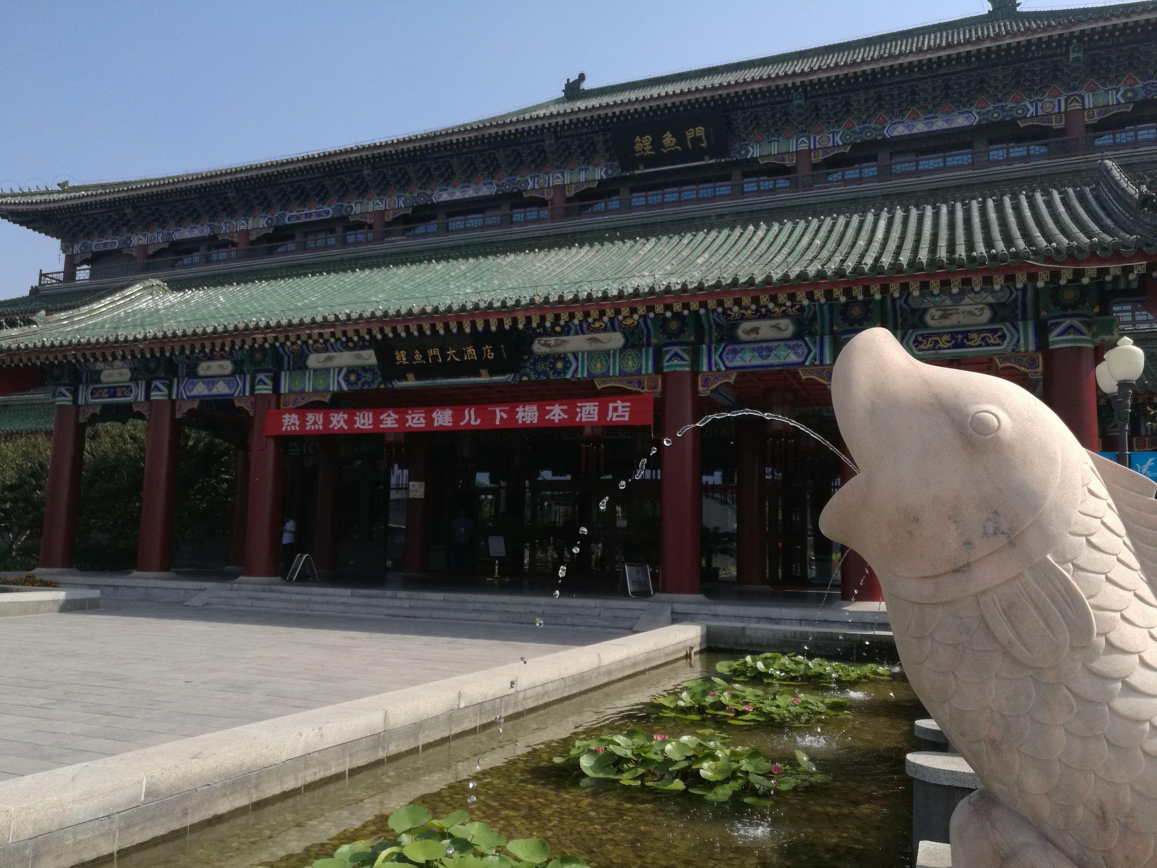 天津情况，一座融合历史与现代的北方明珠