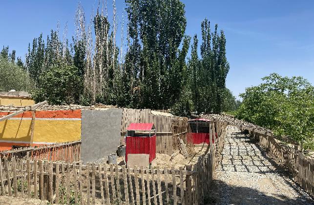 天津对口援建新疆，东西协作共绘发展新篇章