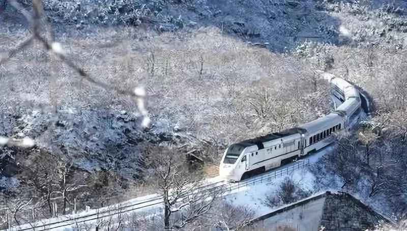 太原到哈尔滨，一趟穿越北国风情的火车之旅