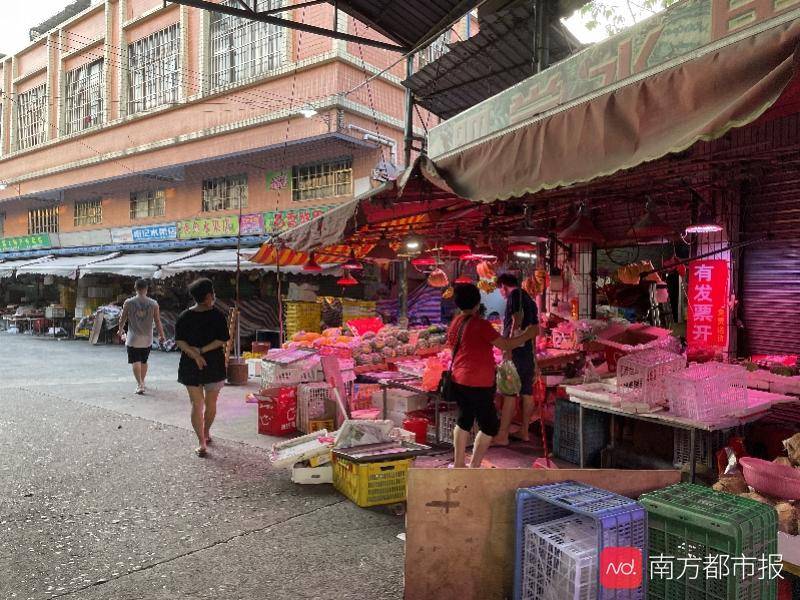 台北疫情防控，策略、挑战与未来展望
